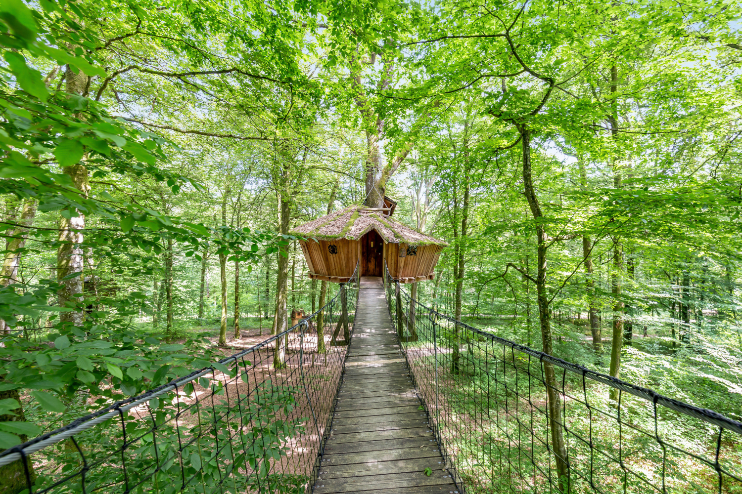 week-end-insolite-les-lieux-a-tester-cabane-bulle