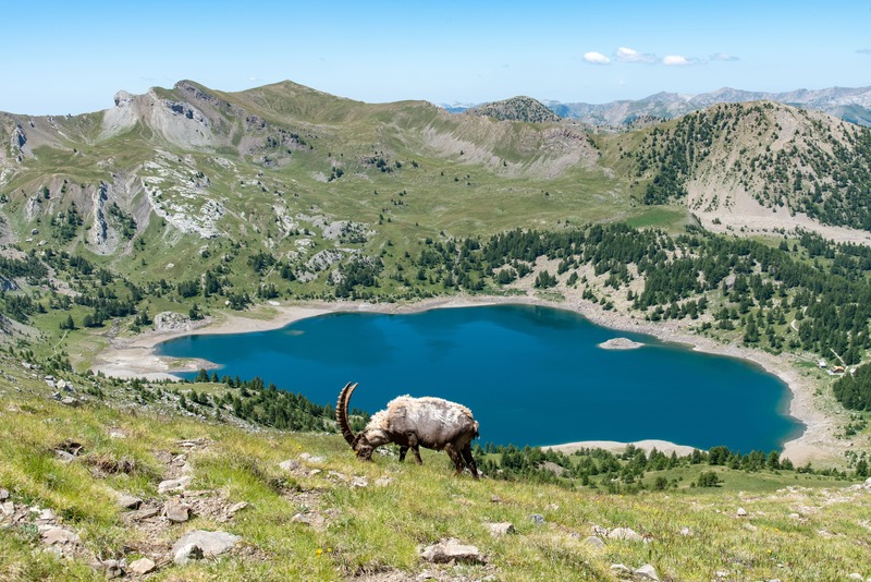 L'un des lacs de France, le lac d'Allos en Haute Provence idée destination vacances autour d'un Lac en France
