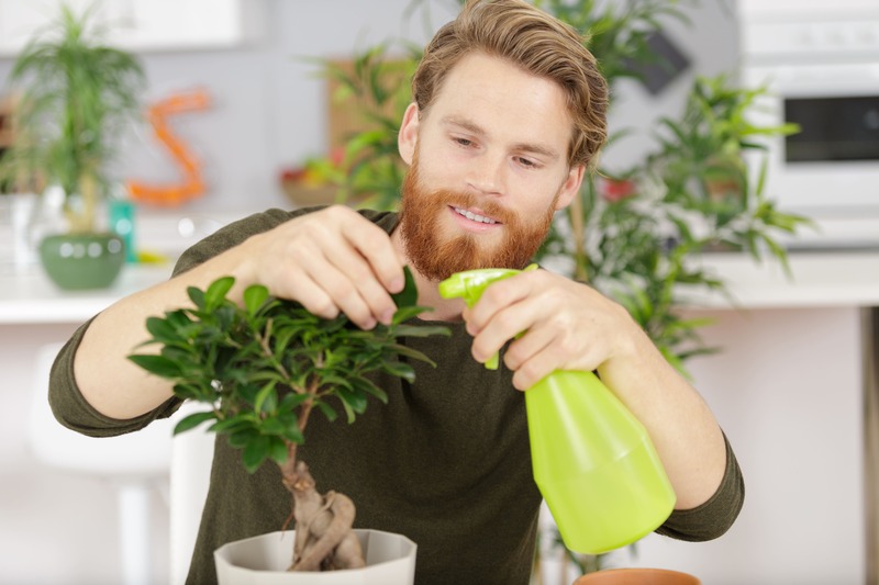 un homme de trente ans qui aime les plantes à reçu en cadeau un bonsaï