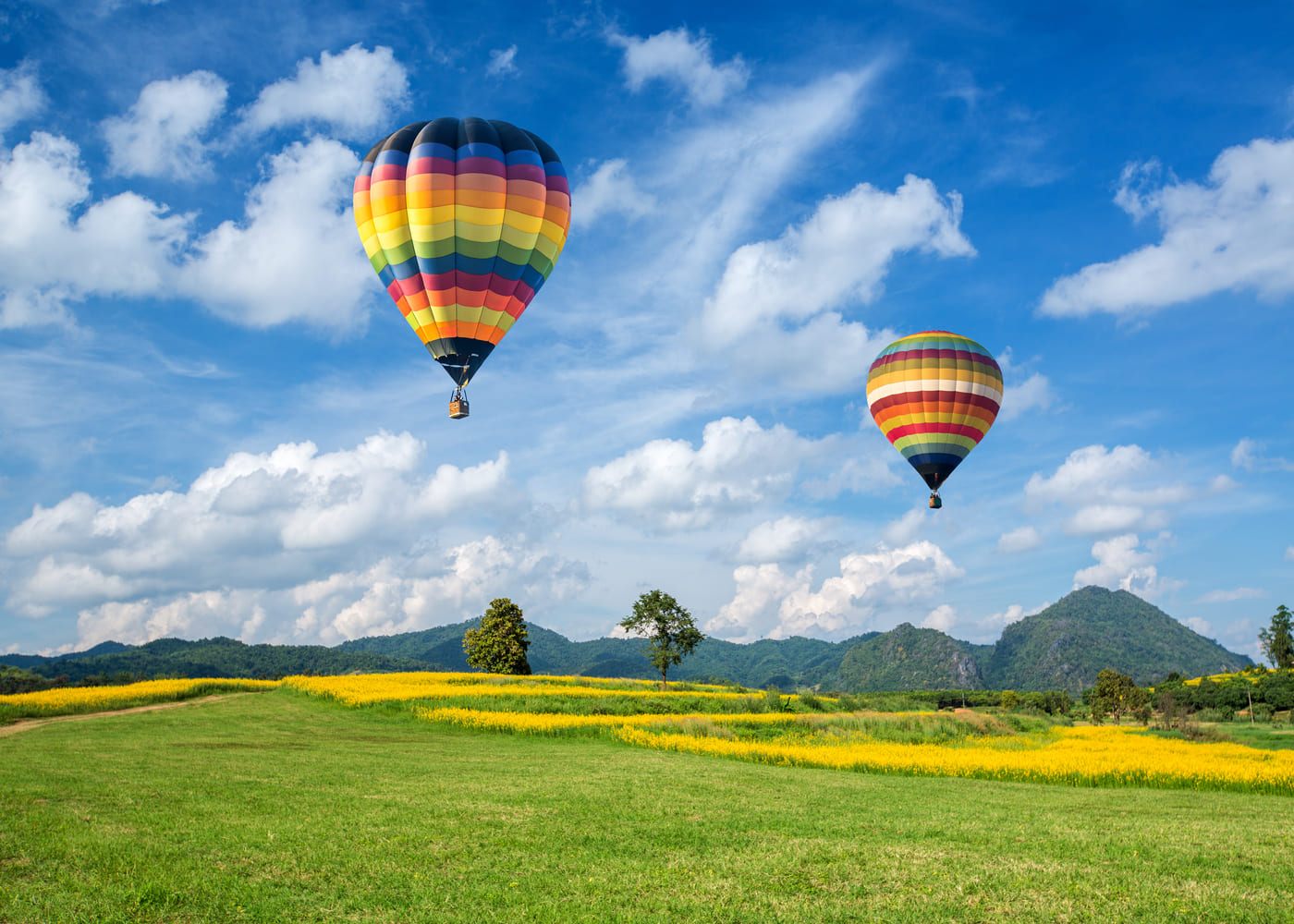 Vocabulaire de la montgolfière : tout ce que vous devez savoir