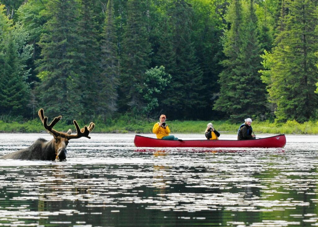 que-faire-au-canada-top-12-des-choses-a-voir-et-visiter-algonquin-park