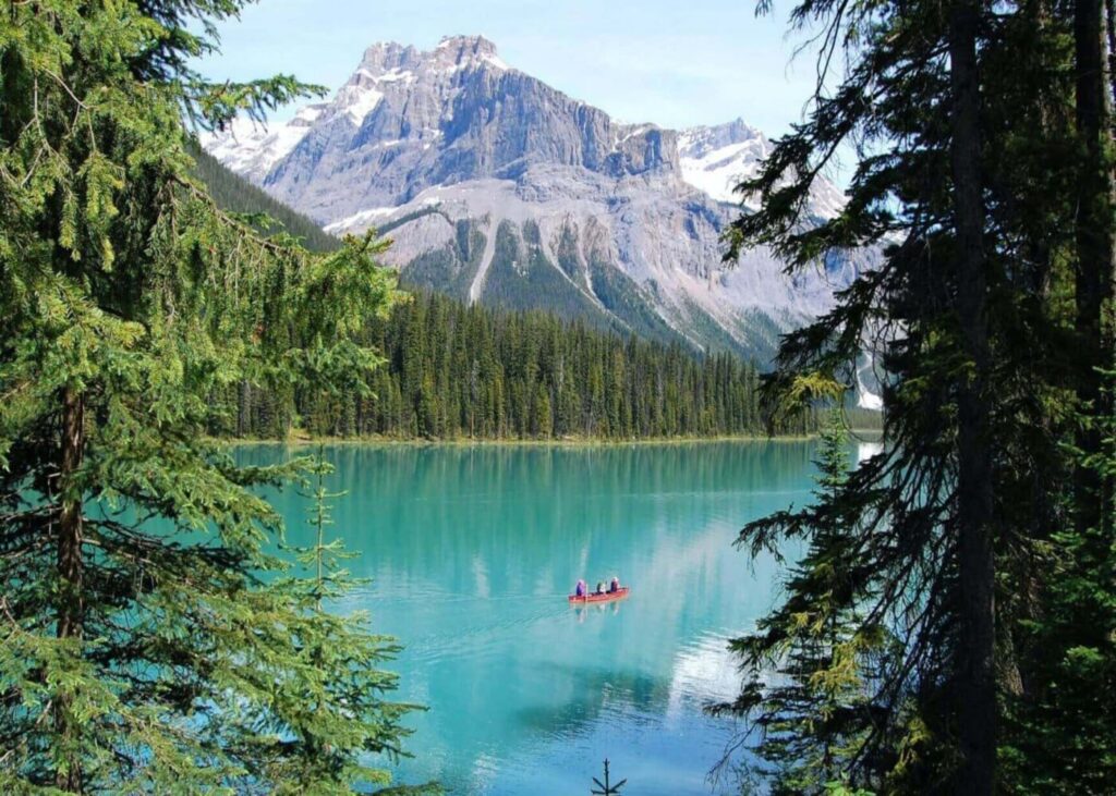que-faire-au-canada-top-12-des-choses-a-voir-et-visiter-ile-vancouver