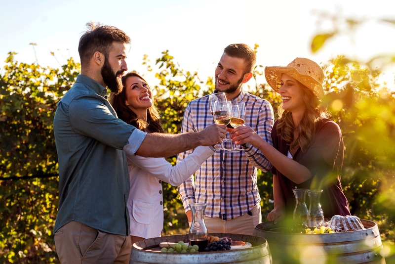 dégustation de vins dans les vignobles comme cadeau de mariage pour couple