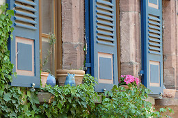 Mickey's House B&B