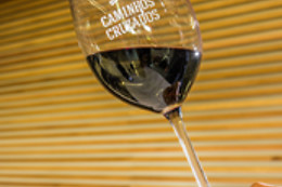 CAMINHOS CRUZADOS