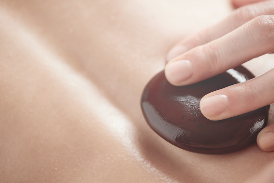 YVES ROCHER - photo 13
