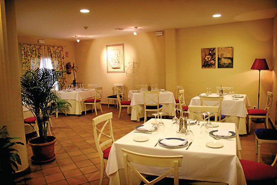 HOTEL PALACIO LAS MANILLAS - photo 11