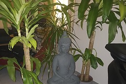 Espace détente Tancho