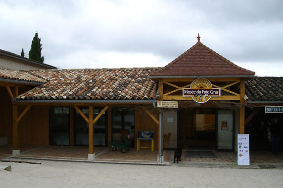 Ferme de Souleilles - photo 0