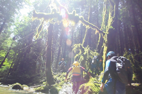 Noa guides - photo 2