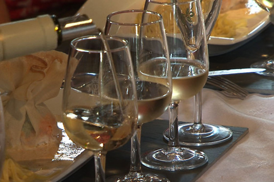 Dégustation au Domaine du Viel Orme à Saint-Julien-de-Chédon (41)
