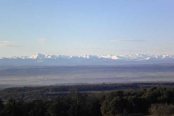Domaine de Campras - photo 5
