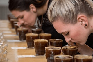 Atelier œnologie des cafés d'exception à Paris 6ème