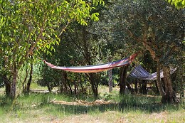 LAMEIRA DA LONGRA