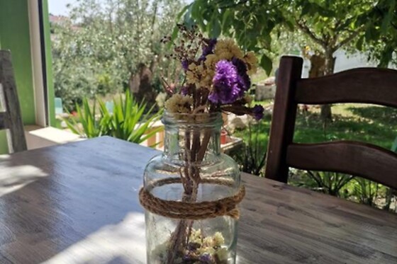 LAMEIRA DA LONGRA - photo 17