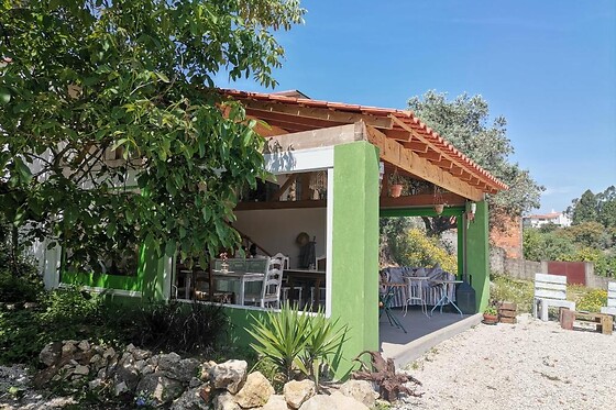 LAMEIRA DA LONGRA - photo 18
