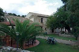 'A Sena Runcatini