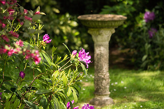 Un séjour pour 2 à Arts in the Garden à Morigny (50)