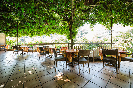 La Terrasse - photo 17