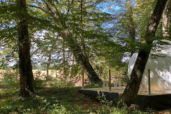 Chateau de Montabert - photo 4