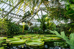 Plantentuin Meise