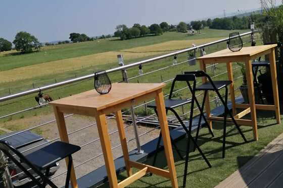 Eki Brasserie - photo 3