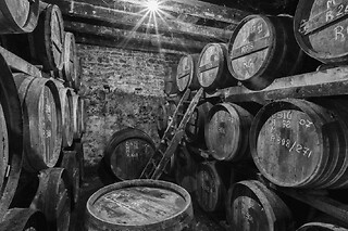 Visite et dégustation de Cognac à Saint-Saturnin (16) - Visite du chai, dégustation & pique-nique - 2h