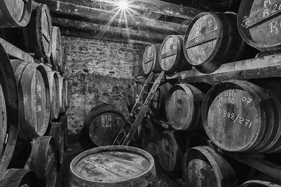 Visite et dégustation de Cognac à Saint-Saturnin (16) - Visite du chai, dégustation & pique-nique - 2h