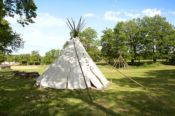 Le Domaine de la Combe - photo 4