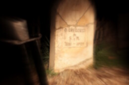 LA CASA DEL MIEDO