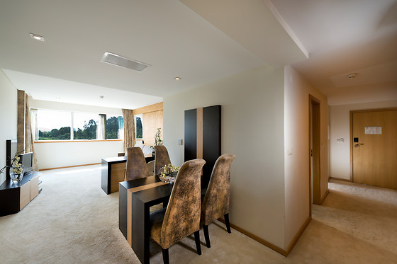PENAFIEL PARK HOTEL & SPA - photo 12