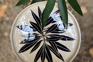 Atelier modelage d'un plat à Aix-en-Provence (13)