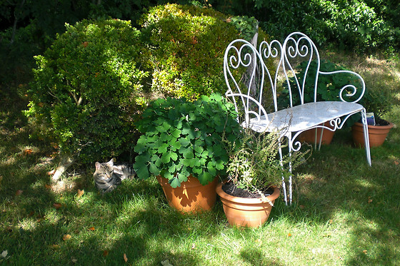 La Pommeraie 27 - photo 1