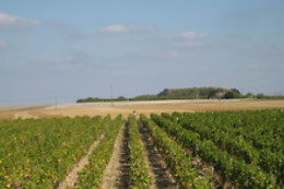 Domaine de la Charrière