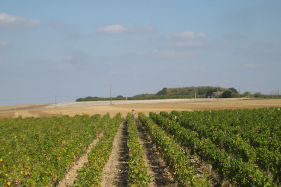Domaine de la Charrière - photo 0