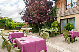 Le Tadorne