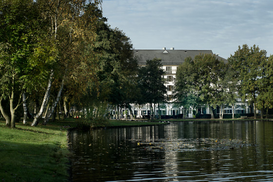 M Hotel - Different Hotels - photo 12