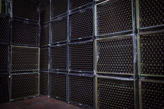 BODEGAS VIYUELA - photo 9