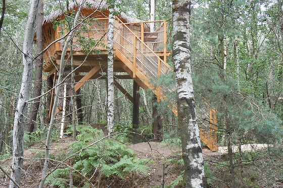 Embranchard - photo 2
