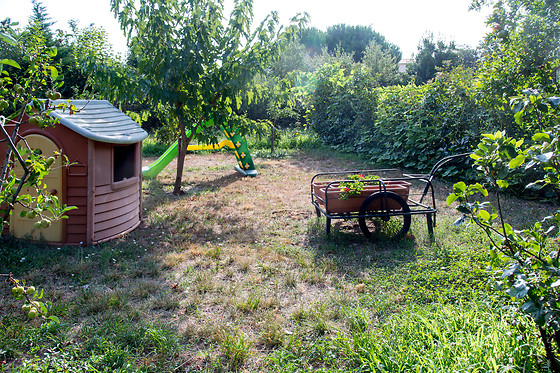 Les Vignes - photo 9