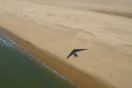Vol d'Oiseau