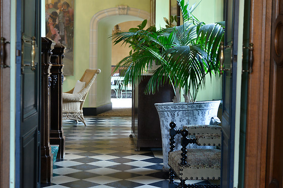 Château de la Bourdaisière - photo 13