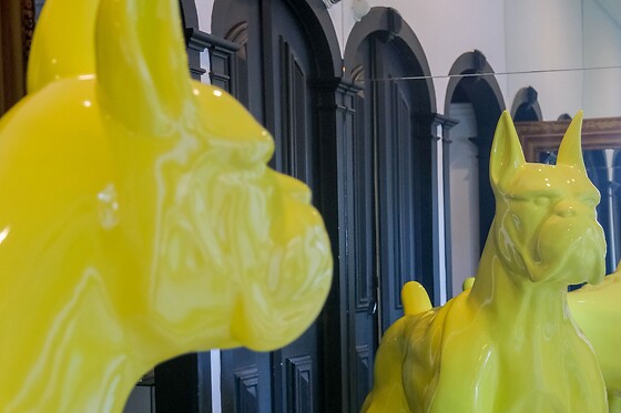 RM GUEST HOUSE | THE EXPERIENCE - photo 7