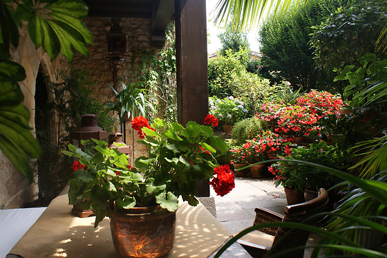 HOTEL CASA DEL MARQUES - photo 2