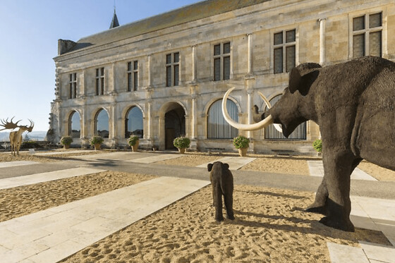 Billet pour le Musée de la Préhistoire du Grand-Pressigny (37)