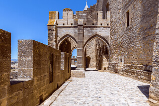 Billet pour le château & les remparts de Carcassonne (11)