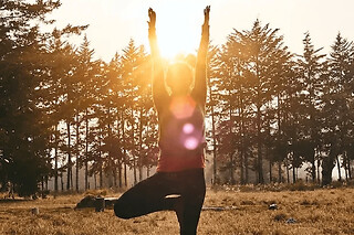Journée ayurvédique & yoga à Blain (44)
