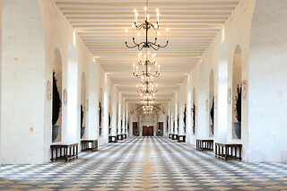 Billet pour le Château de Chenonceau (37)