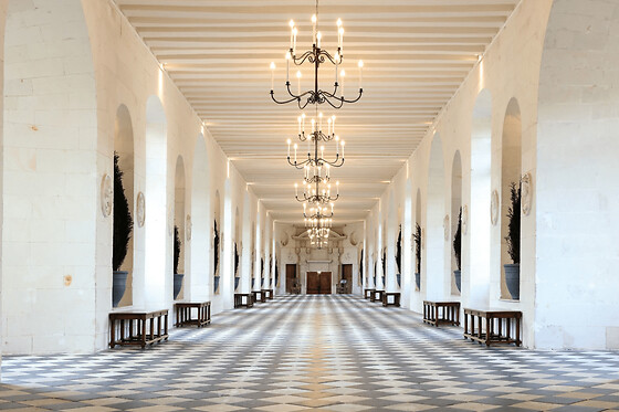 Billet pour le Château de Chenonceau (37)