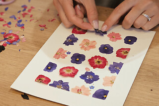 Atelier création d'un herbier  à Mouvaux (59)